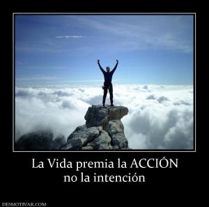 La Vida premia la ACCIÓN no la intención