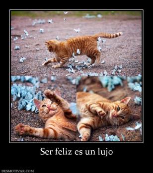 Ser feliz es un lujo