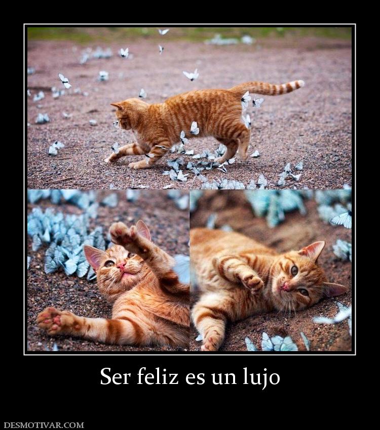 Ser feliz es un lujo