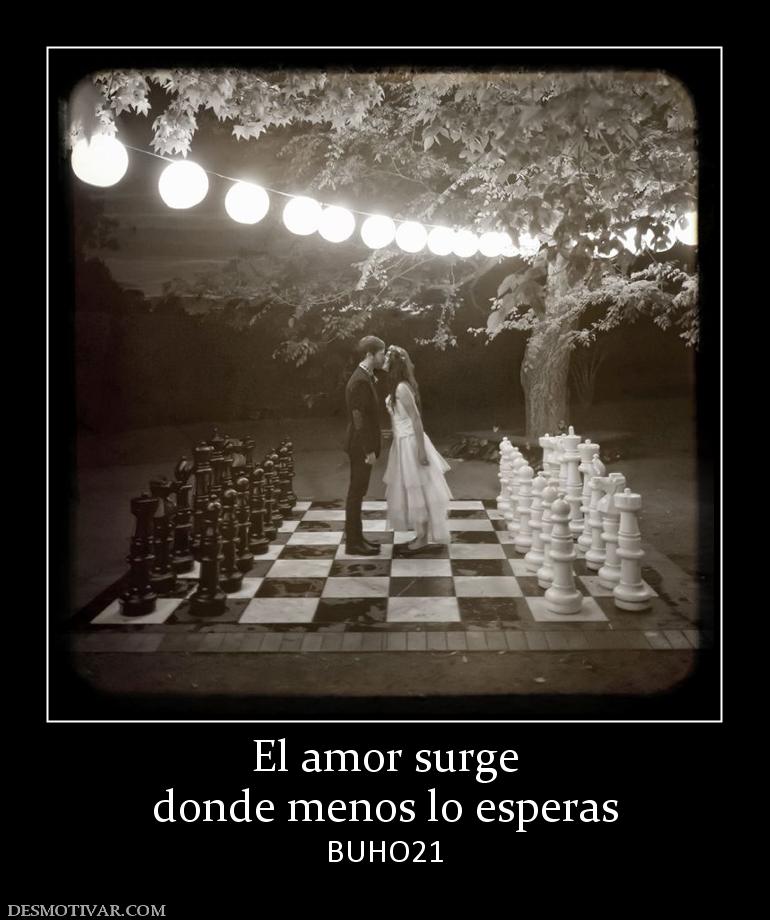 El amor surge donde menos lo esperas BUHO21