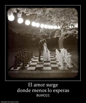 El amor surge donde menos lo esperas BUHO21