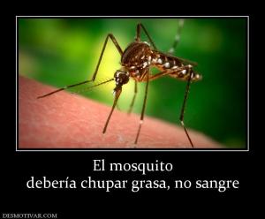 El mosquito debería chupar grasa, no sangre