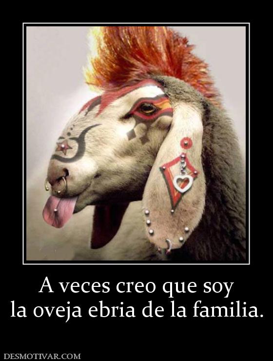 A veces creo que soy la oveja ebria de la familia.