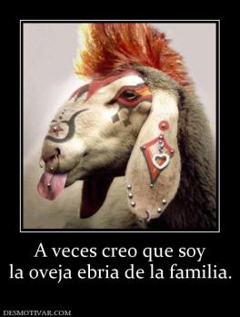 A veces creo que soy la oveja ebria de la familia.