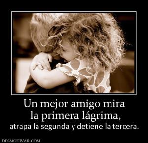 Un mejor amigo mira  la primera lágrima,  atrapa la segunda y detiene la tercera.