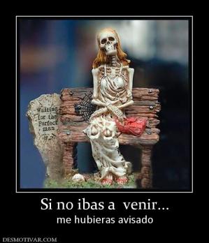 Si no ibas a  venir... me hubieras avisado