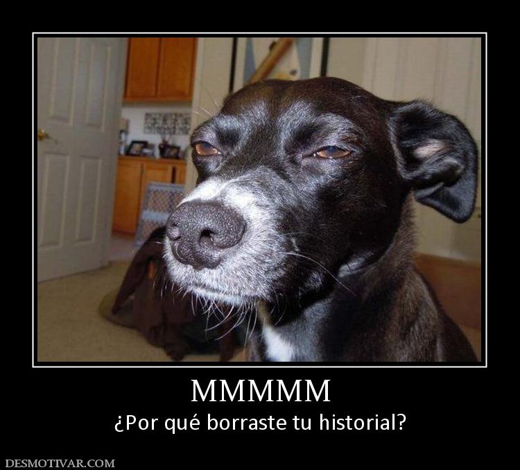 MMMMM ¿Por qué borraste tu historial?