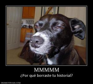 MMMMM ¿Por qué borraste tu historial?