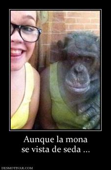 Aunque la mona se vista de seda ...