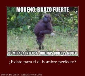 ¿Existe para ti el hombre perfecto?