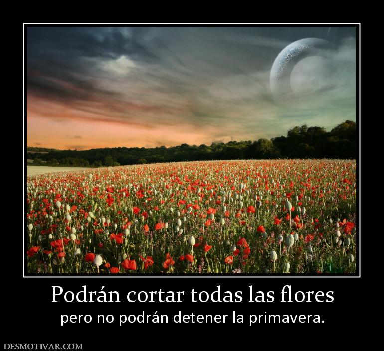Podrán cortar todas las flores pero no podrán detener la primavera.