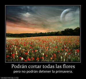 Podrán cortar todas las flores pero no podrán detener la primavera.