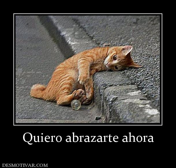 Quiero abrazarte ahora
