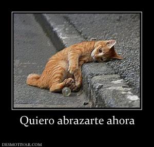 Quiero abrazarte ahora