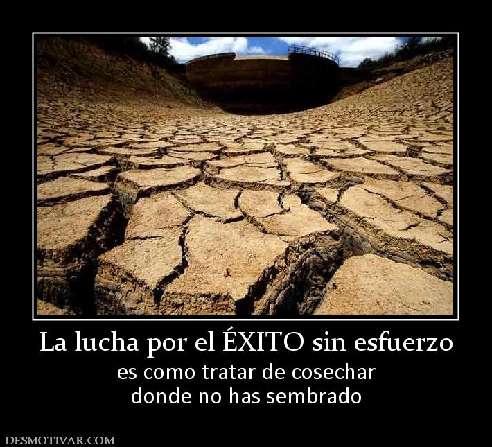 La lucha por el ÉXITO sin esfuerzo es como tratar de cosechar donde no has sembrado