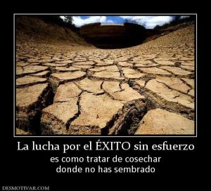 La lucha por el ÉXITO sin esfuerzo es como tratar de cosechar donde no has sembrado