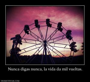 Nunca digas nunca, la vida da mil vuel
