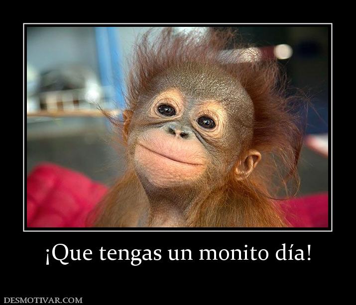 ¡Que tengas un monito día!