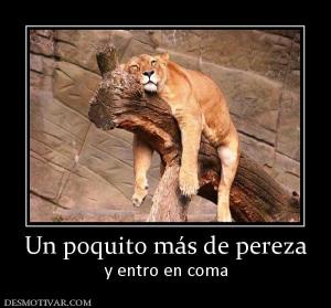 Un poquito más de pereza y entro en coma