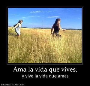 Ama la vida que vives, y vive la vida que amas