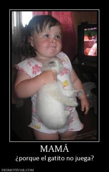 MAMÁ ¿porque el gatito no juega?