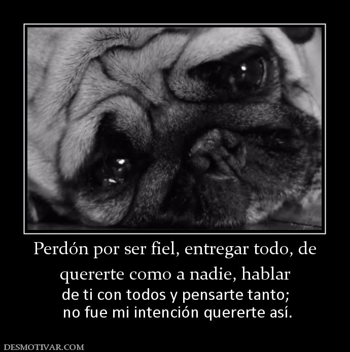 Perdón por ser fiel, entregar todo, de quererte como a nadie, hablar  de ti con todos y pensarte tanto;  no fue mi intención quererte así.