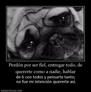 Perdón por ser fiel, entregar todo, de quererte como a nadie, hablar  de ti con todos y pensarte tanto;  no fue mi intención quererte así.