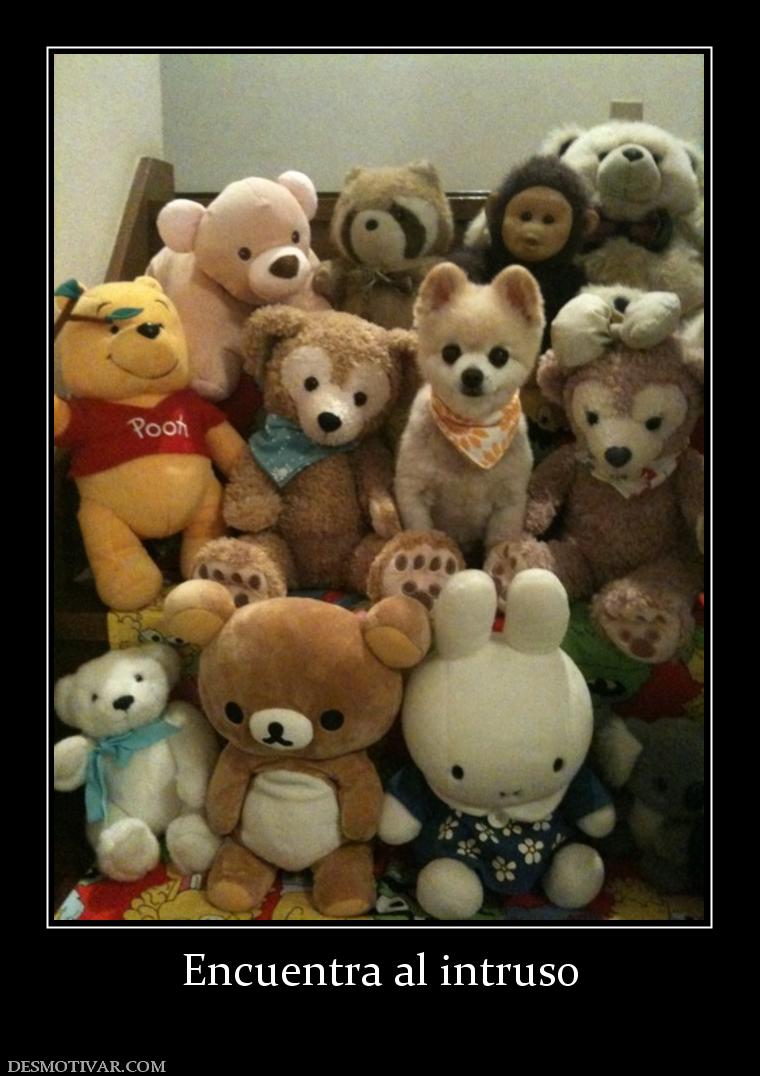 Encuentra al intruso