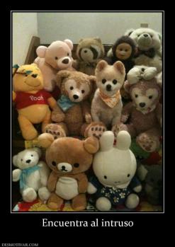 Encuentra al intruso
