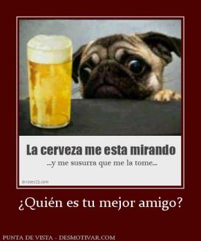 ¿Quién es tu mejor amigo?