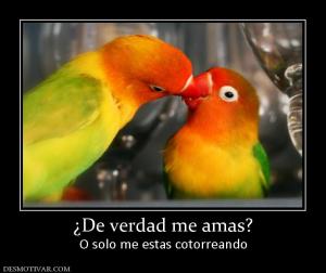 ¿De verdad me amas? O solo me estas cotorreando