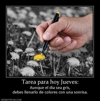 Tarea para hoy Jueves: Aunque el día sea gris, debes llenarlo de colores con una sonrisa.