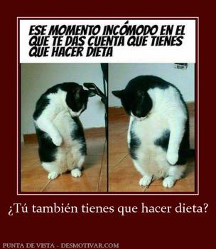 ¿Tú también tienes que hacer dieta?