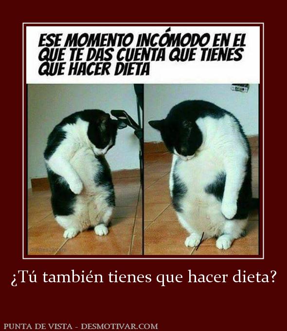 ¿Tú también tienes que hacer dieta?