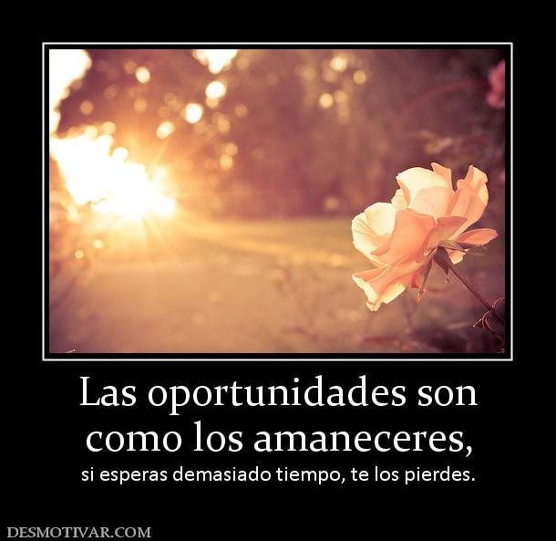 Las oportunidades son como los amaneceres,  si esperas demasiado tiempo, te los pierdes.