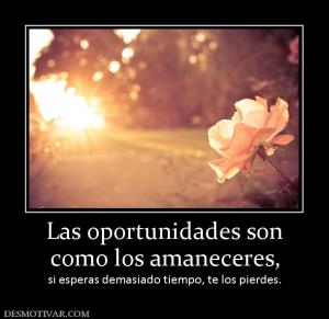 Las oportunidades son como los amaneceres,  si esperas demasiado tiempo, te los pierdes.