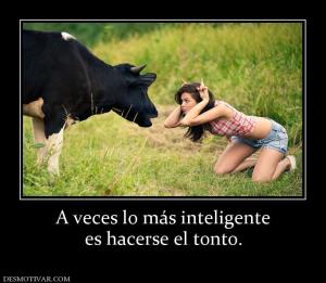 A veces lo más inteligente es hacerse el tonto.