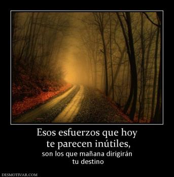 Esos esfuerzos que hoy  te parecen inútiles,  son los que mañana dirigirán  tu destino