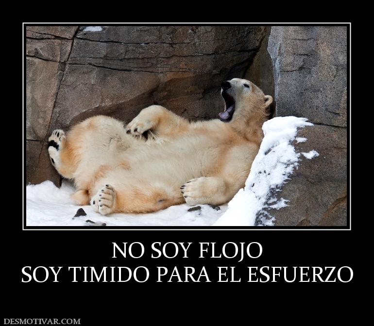 NO SOY FLOJO SOY TIMIDO PARA EL ESFUERZO