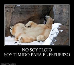 NO SOY FLOJO SOY TIMIDO PARA EL ESFUERZO