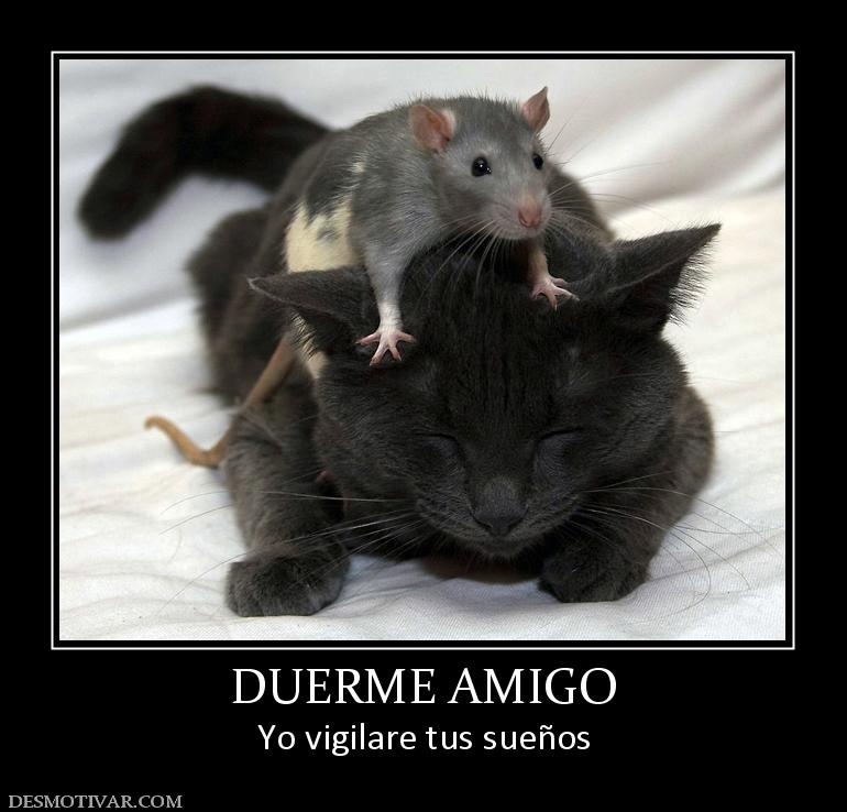 DUERME AMIGO Yo vigilare tus sueños