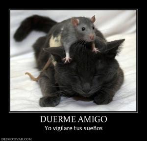 DUERME AMIGO Yo vigilare tus sueños