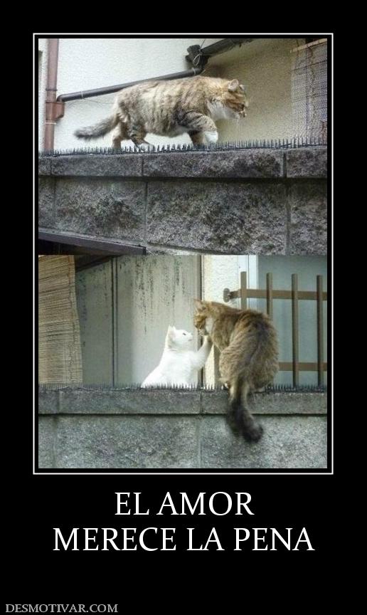 EL AMOR MERECE LA PENA