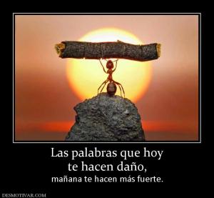 Las palabras que hoy te hacen daño,  mañana te hacen más fuerte.