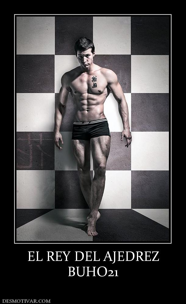 EL REY DEL AJEDREZ BUHO21