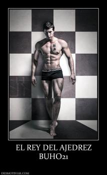 EL REY DEL AJEDREZ BUHO21