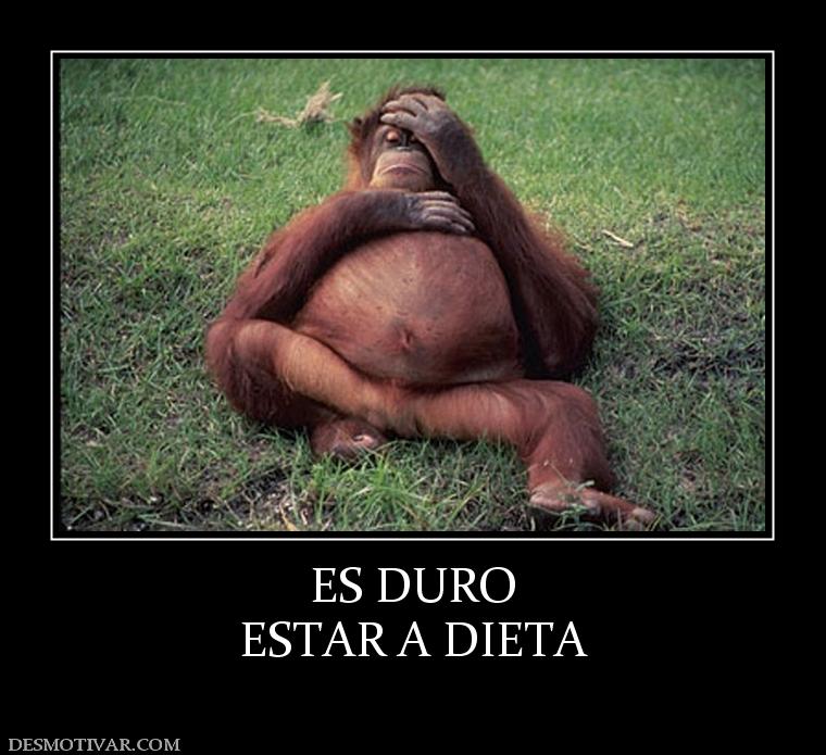 ES DURO ESTAR A DIETA