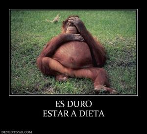 ES DURO ESTAR A DIETA