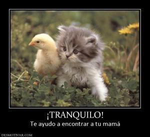 ¡TRANQUILO! Te ayudo a encontrar a tu mamá