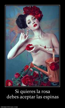 Si quieres la rosa debes aceptar las espinas